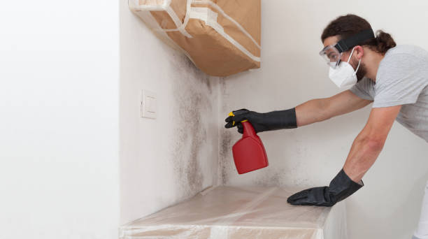 Professional Crawl Space Mold Remediation technician working in Port Reading, NJ