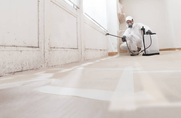 24/7 Emergency Crawl Space Mold Remediation experts in Port Reading, NJ