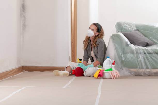 Reliable Crawl Space Mold Remediation contractor in Port Reading, NJ by Mold Remediation HQ